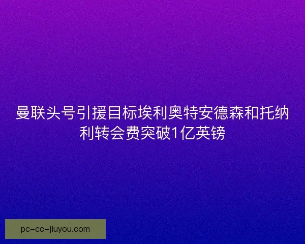 曼联头号引援目标埃利奥特安德森和托纳利转会费突破1亿英镑