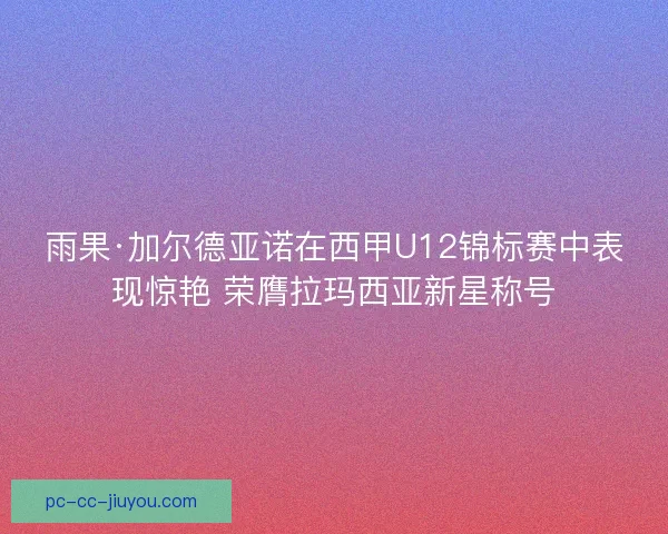 雨果·加尔德亚诺在西甲U12锦标赛中表现惊艳 荣膺拉玛西亚新星称号