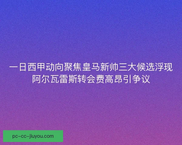 一日西甲动向聚焦皇马新帅三大候选浮现阿尔瓦雷斯转会费高昂引争议
